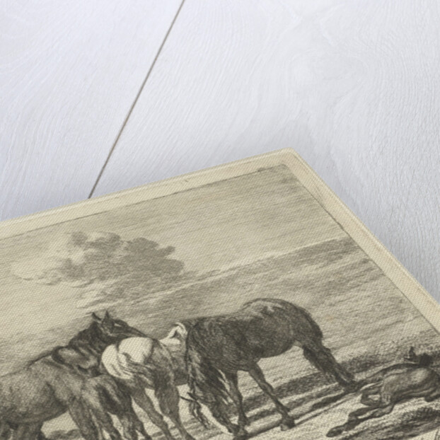 Four horses and two foals by Pieter Gaal