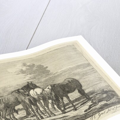 Four horses and two foals by Pieter Gaal