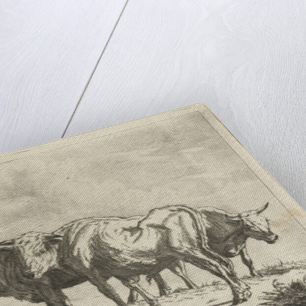 Three oxen by Jacobus Cornelis Gaal