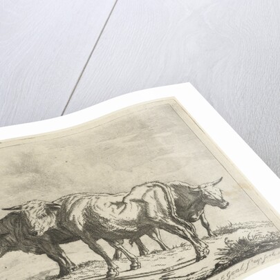 Three oxen by Jacobus Cornelis Gaal