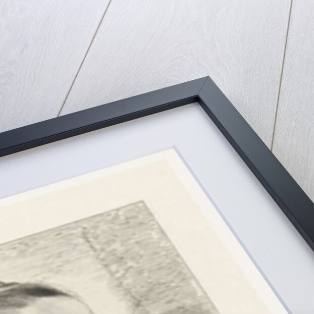 Portrait of Anna Roemers Visscher by Johannes Arnoldus Boland