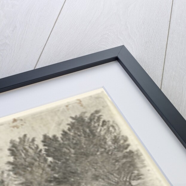 Battle by Jan van Ossenbeeck