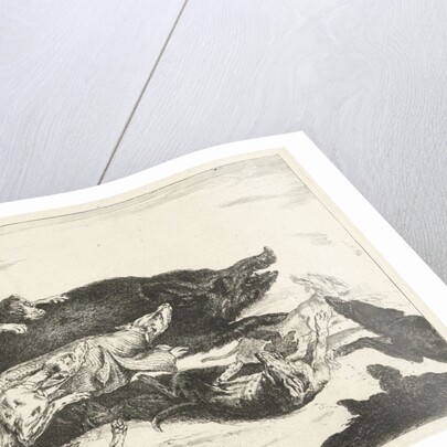Dogs hunt a boar by Peeter Boel