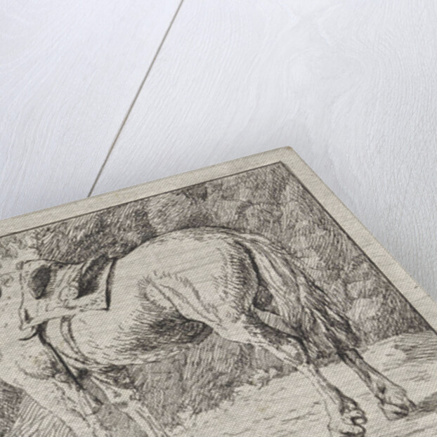 Saddled horse tied to a pole by Jacob van Strij