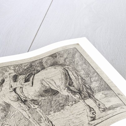 Saddled horse tied to a pole by Jacob van Strij