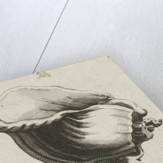 Shell-shaped cup by Christiaen van Vianen