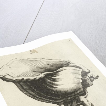 Shell-shaped cup by Christiaen van Vianen