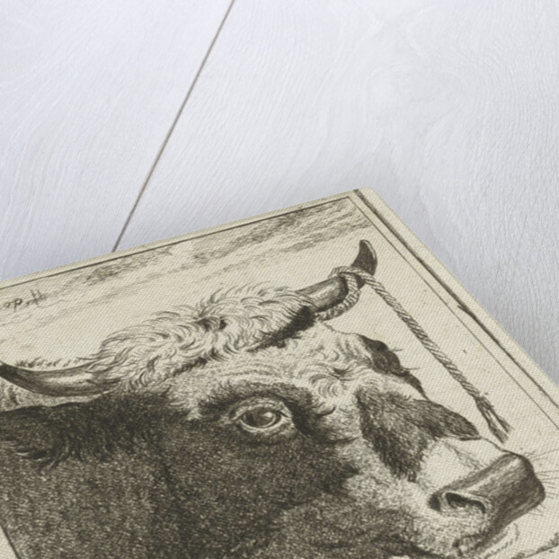 Cup bull rope hear by Cornelis Bisschop