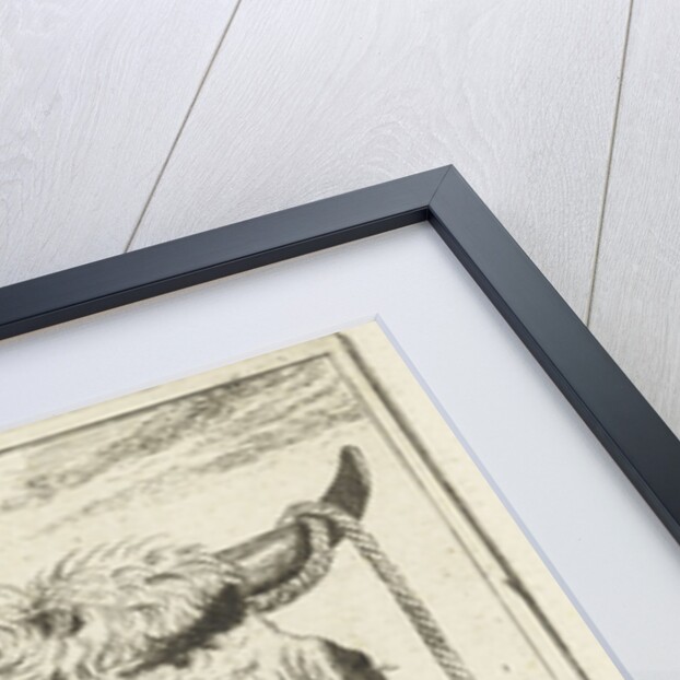 Cup bull rope hear by Cornelis Bisschop