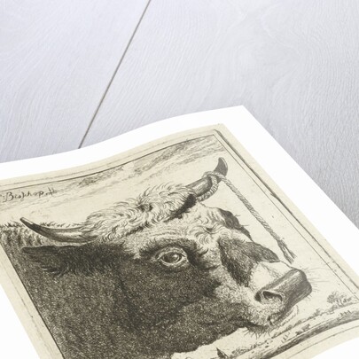 Cup bull rope hear by Cornelis Bisschop