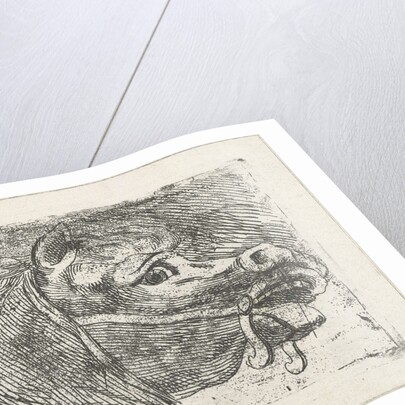 Head of a horse, right by Floris Croese
