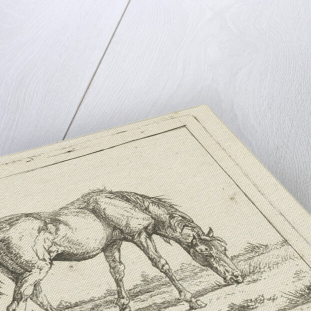 grazing horse right by Jan Dasveldt