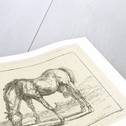 Grazing horse by Jan Dasveldt