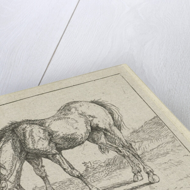 grazing horse left by Jan Dasveldt