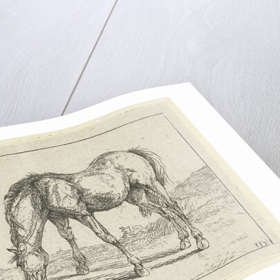 grazing horse left by Jan Dasveldt