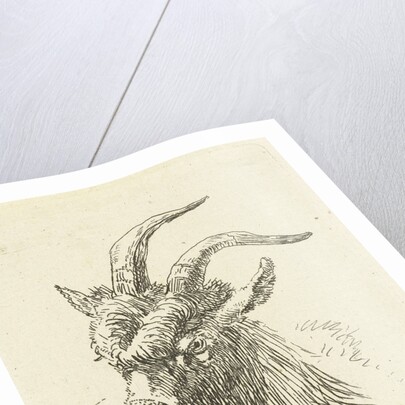 Cup buck by Jan Dasveldt