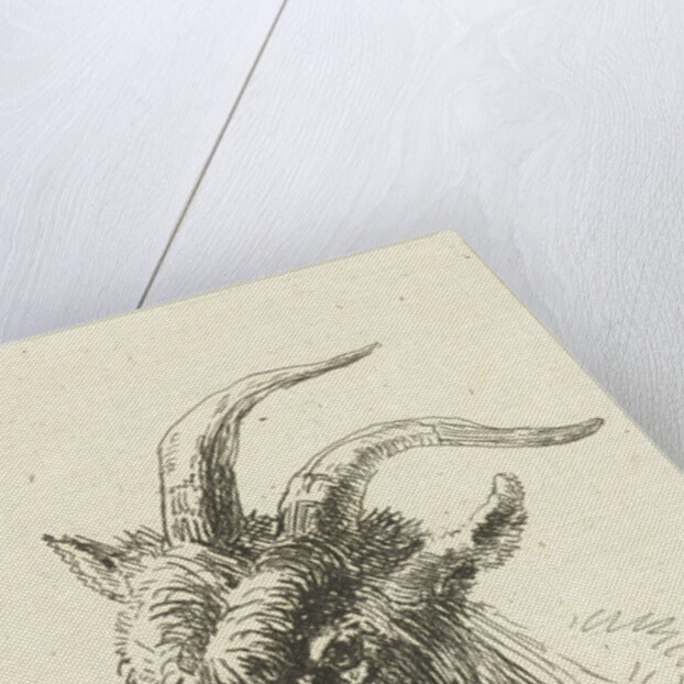 Head of a buck by Jan Dasveldt