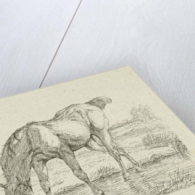 Drinking horse by Jan Dasveldt