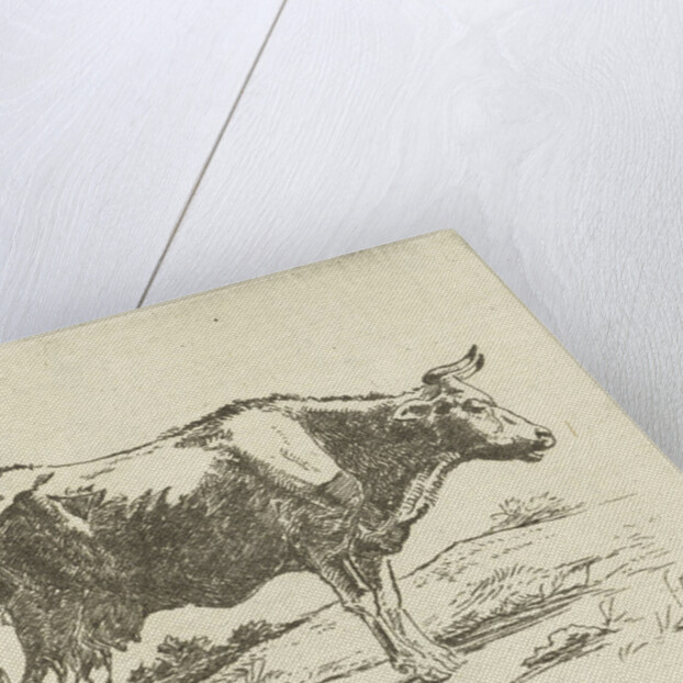 Standing cow by Jan Dasveldt