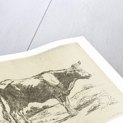 Standing cow by Jan Dasveldt