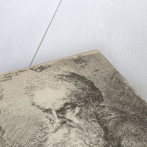 Bust of an old man with beard by Salomon Savery