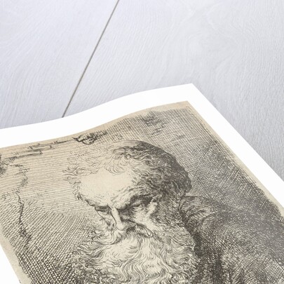 Bust of an old man with beard by Salomon Savery