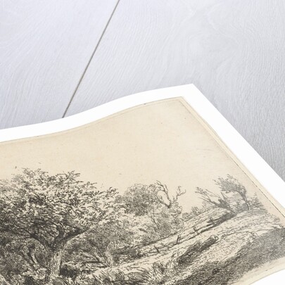 Willows at a coil by Adrianus van Everdingen