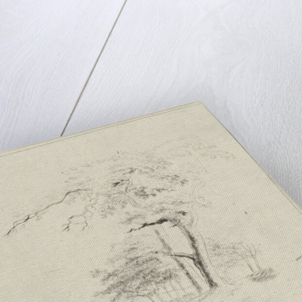 Study with man on trunk by Hermanus Fock