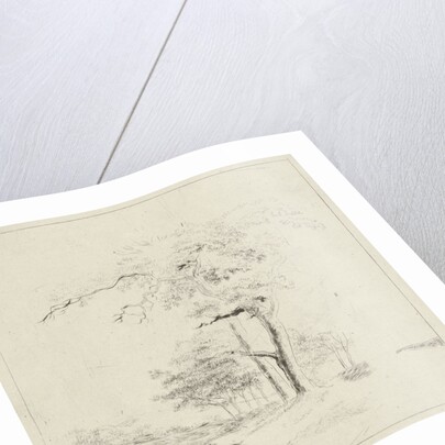 Study with man on trunk by Hermanus Fock