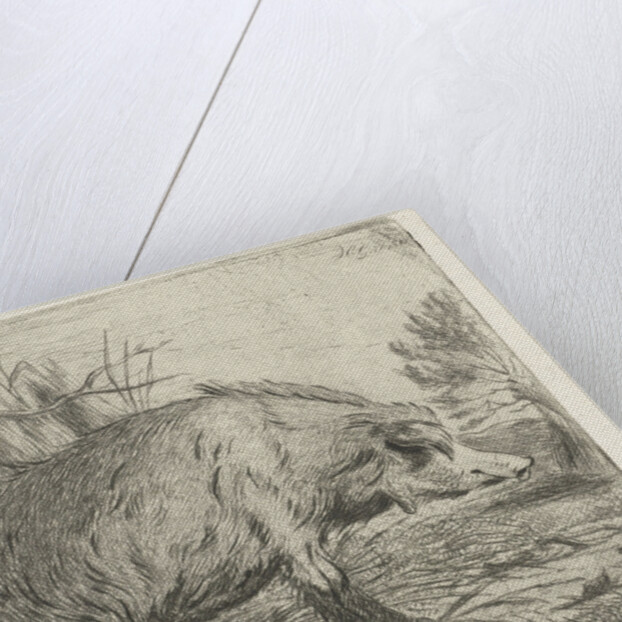 Sitting wild boar by Jacobus Cornelis Gaal