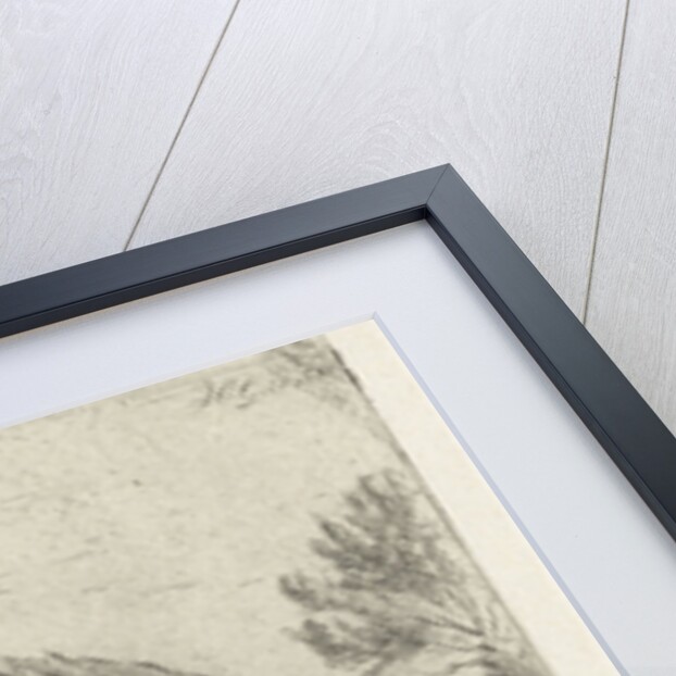 Sitting wild boar by Jacobus Cornelis Gaal