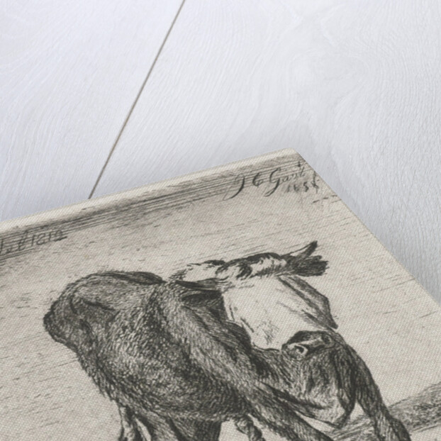 Blindfolded bull by Jacobus Cornelis Gaal