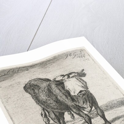 Blindfolded bull by Jacobus Cornelis Gaal