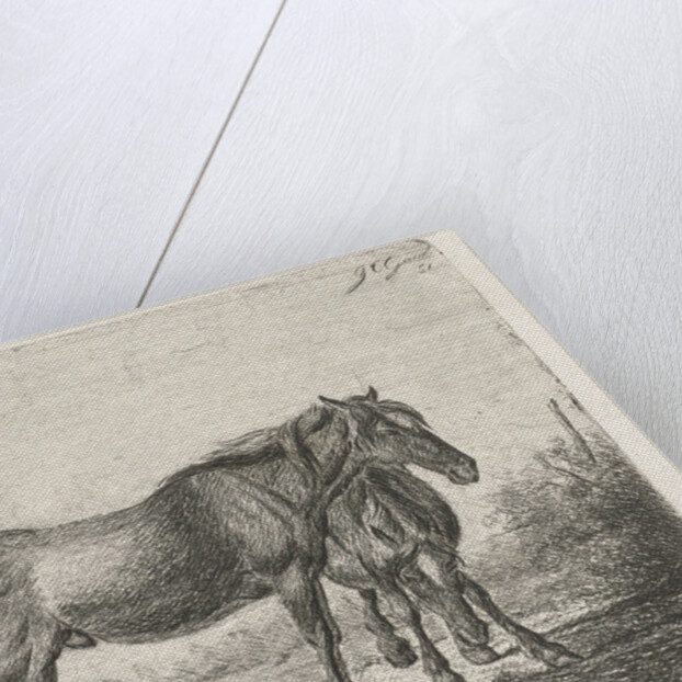 Two horses by Jacobus Cornelis Gaal