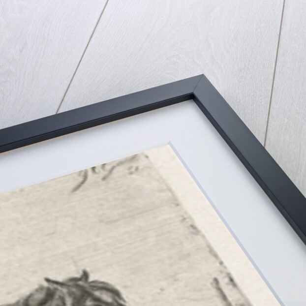 Two horses by Jacobus Cornelis Gaal