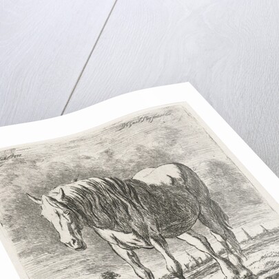 Single white horse by Jacobus Cornelis Gaal