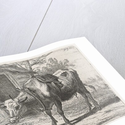 Trekos with yoke for the stable by Jacobus Cornelis Gaal