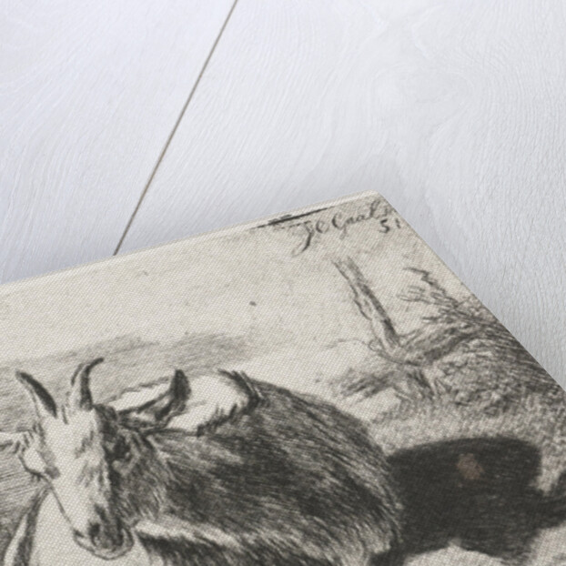 Lying goat, left by Jacobus Cornelis Gaal
