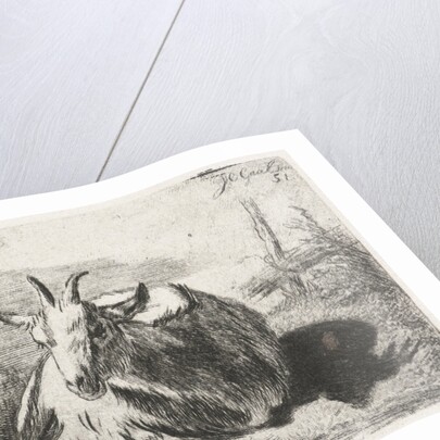 Lying goat, left by Jacobus Cornelis Gaal