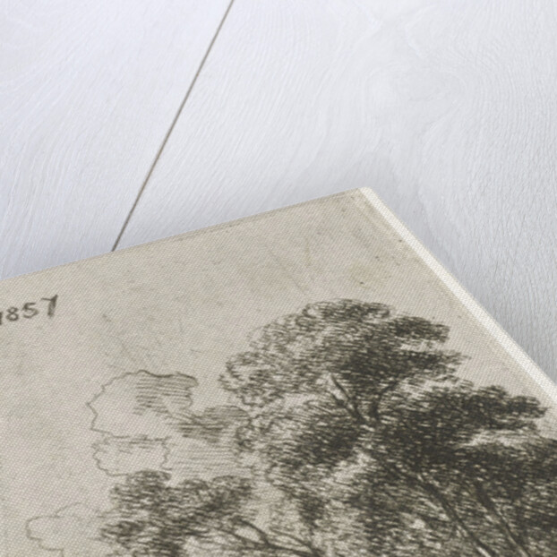 Trees on a hill by Hendrik Jan Hein