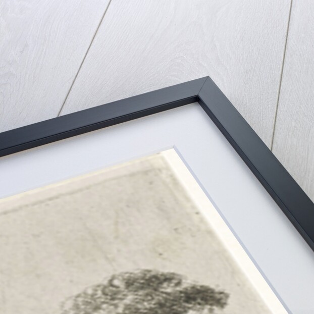 Trees on a hill by Hendrik Jan Hein