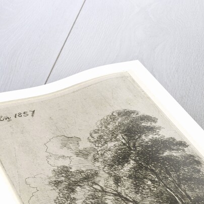 Trees on a hill by Hendrik Jan Hein