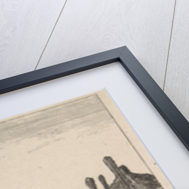 Willows at farm by Dirk Hussem