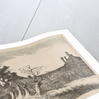 Willows at farm by Dirk Hussem