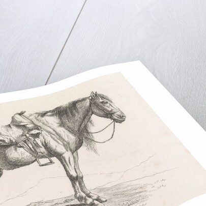 Saddled horse by George Jooss