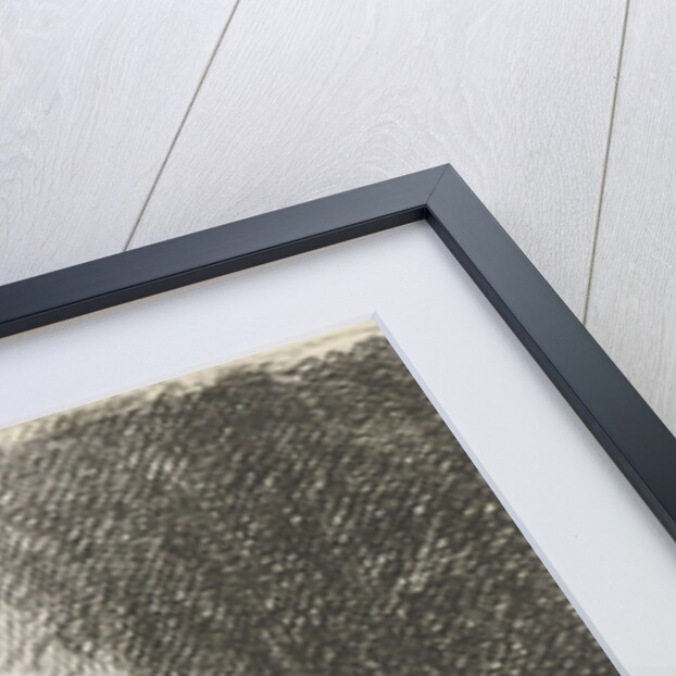 Reading monk by David van der Kellen II