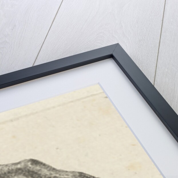 Portrait of Rembrandt by Anthonie Willem Hendrik Nolthenius de Man