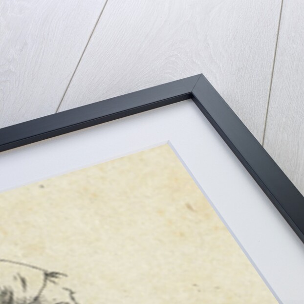 Boy lying in the grass on his belly by Anthonie Willem Hendrik Nolthenius de Man