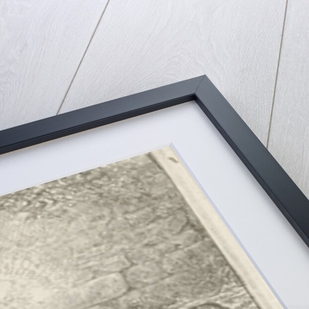 Dog on a chain with a doghouse by Johannes Mock