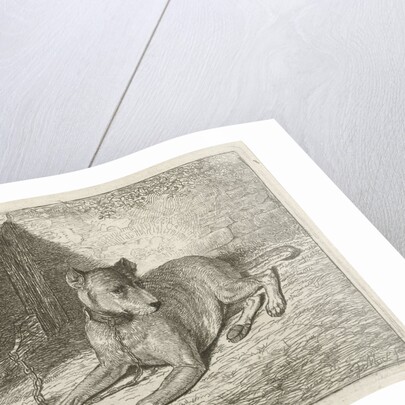 Dog on a chain with a doghouse by Johannes Mock